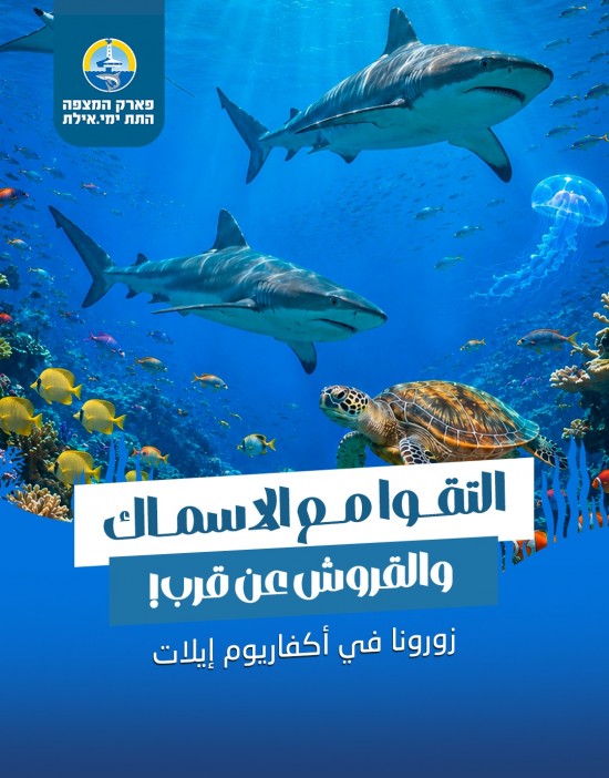 מצפה תת ימי אילת - https://coralworld.co.il/